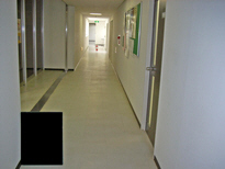 SGS�g�b�v�R�[�g�{�H�O