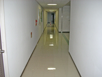 SGS�g�b�v�R�[�g�{�H��